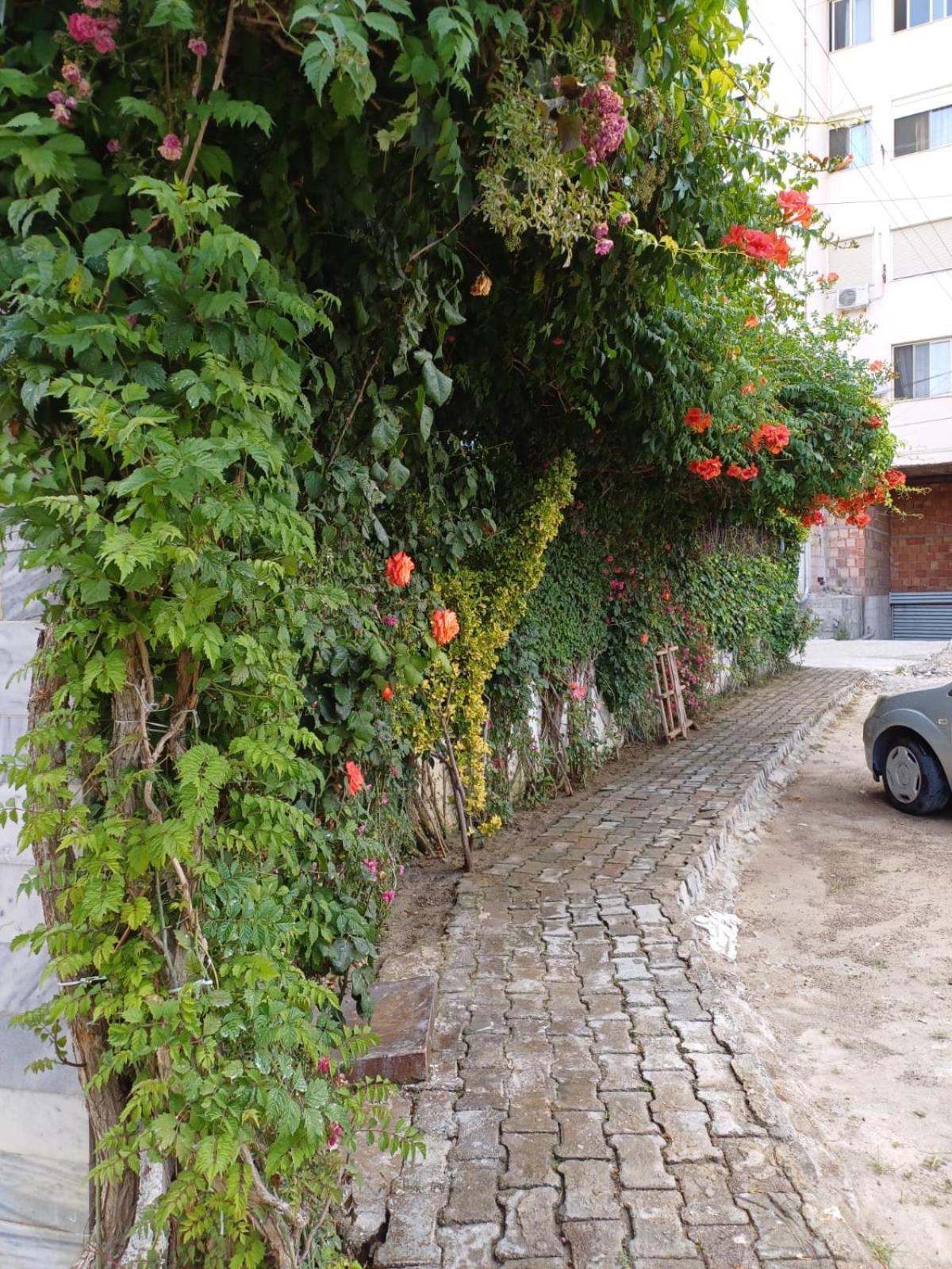 Arben Durrës Exterior foto